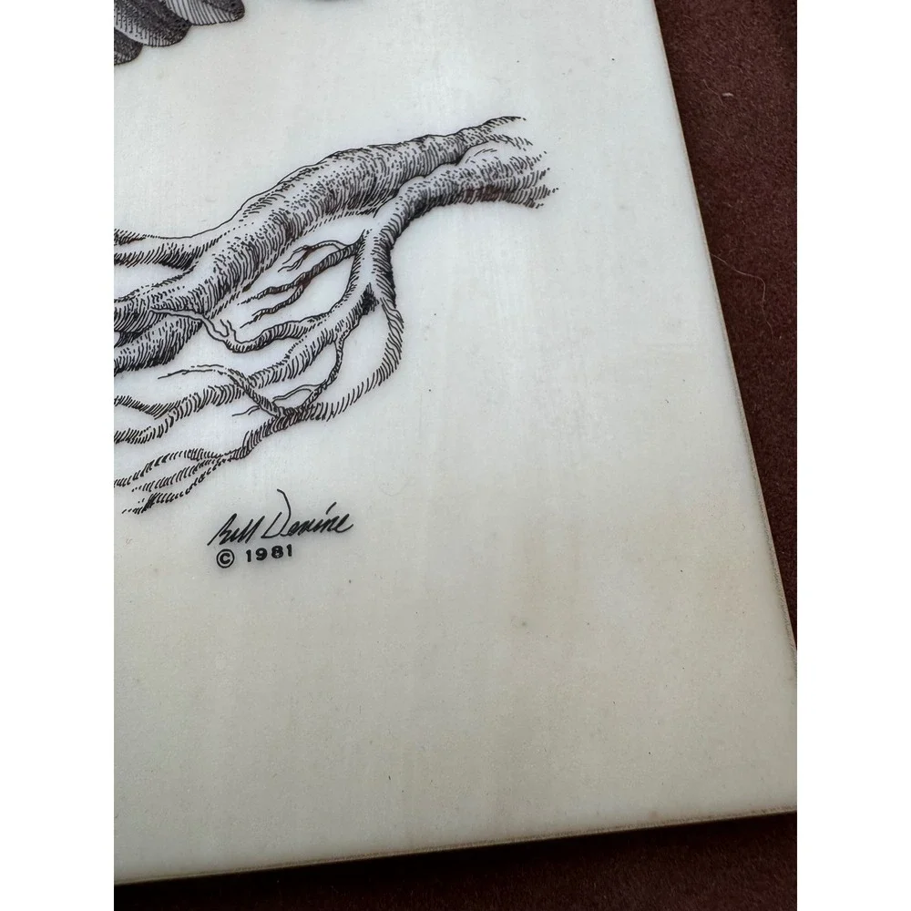 Vintage Bill Devine‎ Alaska Mint Kiana Bald Eagle Scrimshaw Etching Framed 1981